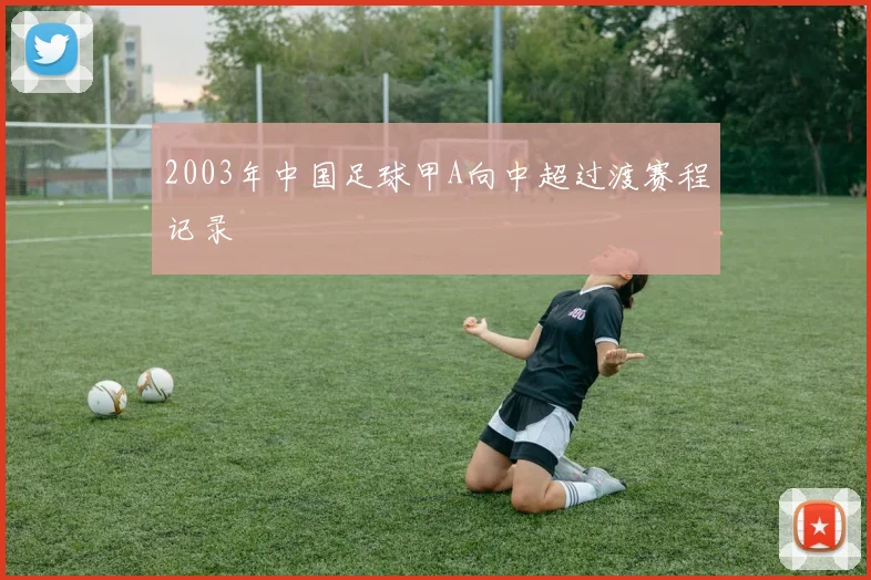 2003年中国足球甲A向中超过渡赛程记录