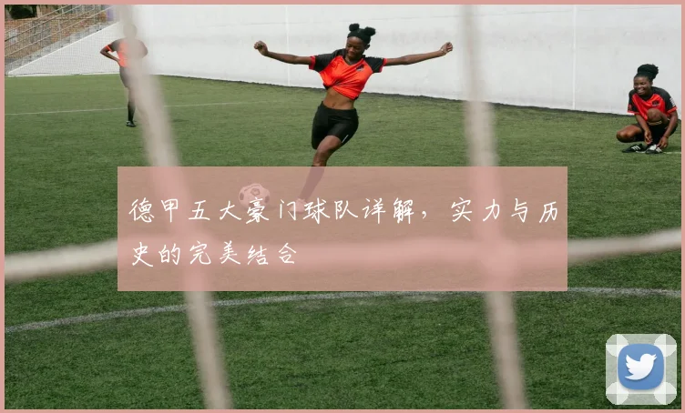 德甲五大豪门球队详解，实力与历史的完美结合