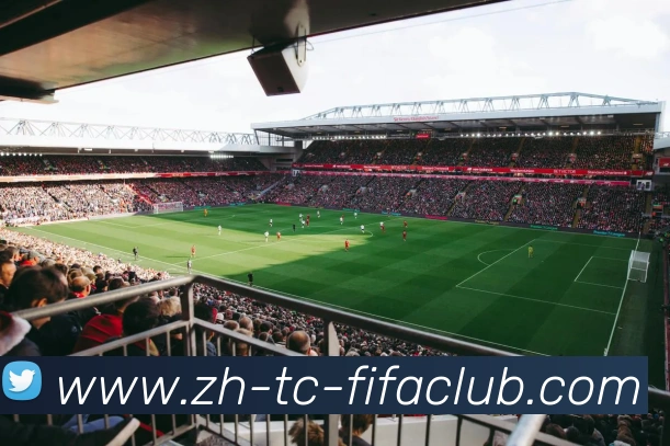 世界杯买球服务体系